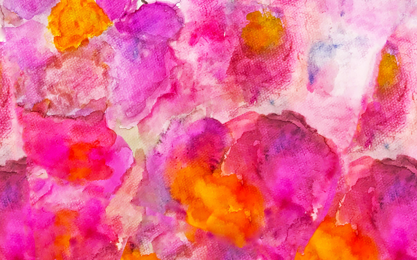 Bilderauswahl_Do_202544